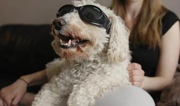 Scene from the film In Dog Years